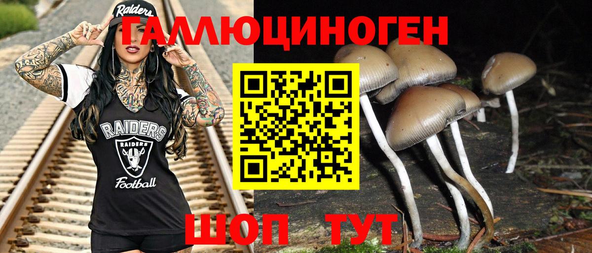 Галлюциногенные грибы Cubensis Рассказово