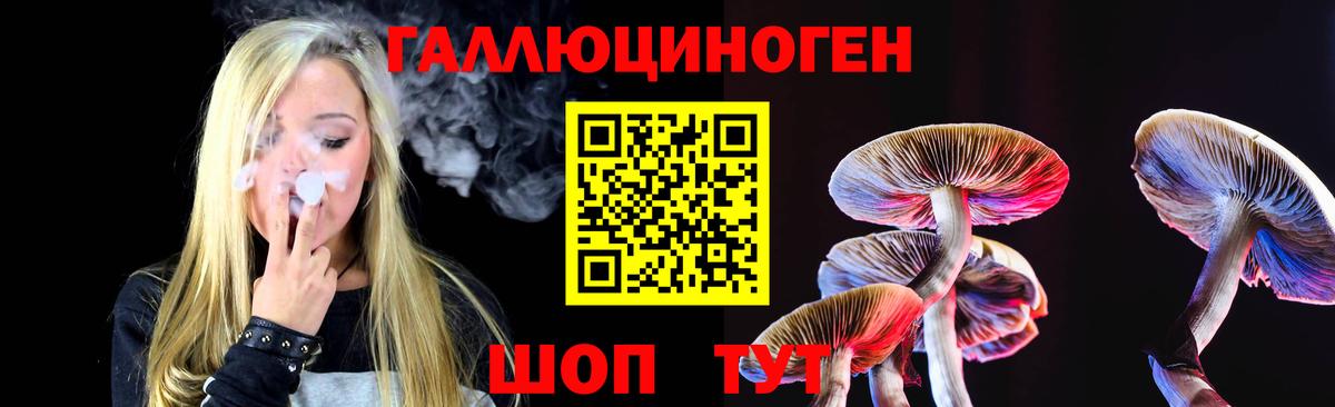 Рассказово  Псилоцибиновые грибы Psilocybine cubensis  Вход с VPN 